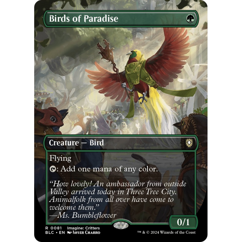 Birds of Paradise(Borderless) (081)