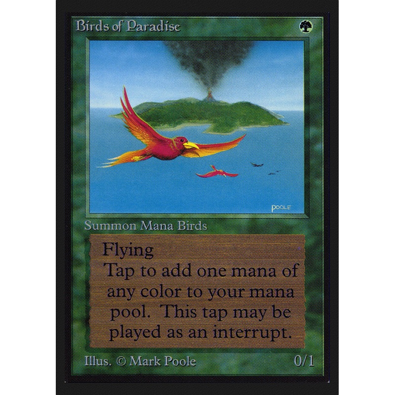 Birds of Paradise [Collectors’ Edition]
