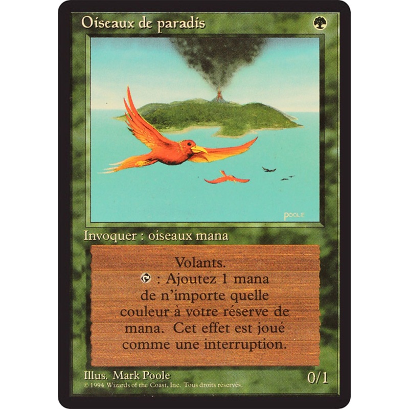 Birds of Paradise [Foreign Black Border]