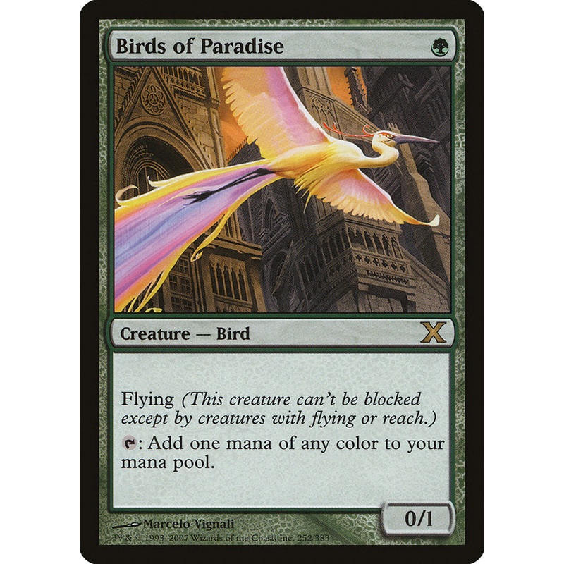 Birds of Paradise [Tenth Edition]