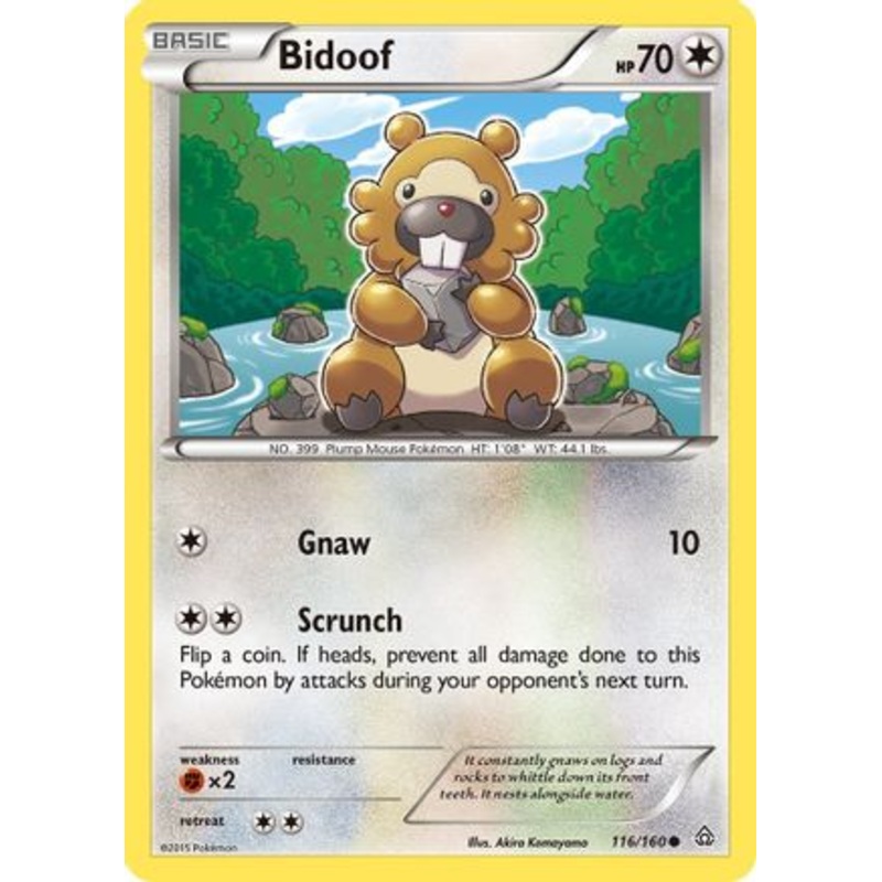 Bidoof (116/160) [XY: Primal Clash]
