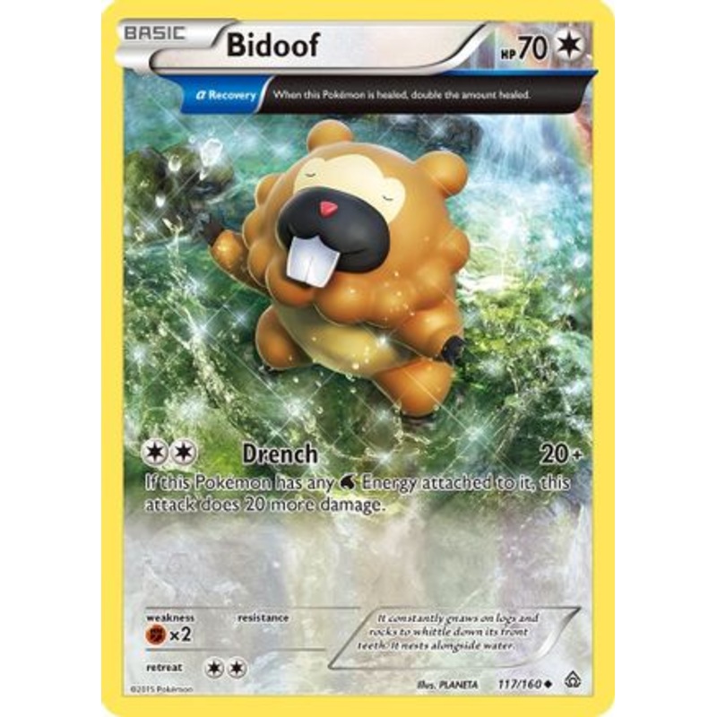 Bidoof (117/160) [XY: Primal Clash] Reverse Holofoil